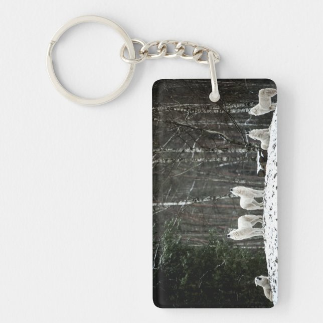 Wilderness Polar Wolf Key Ring (Front)