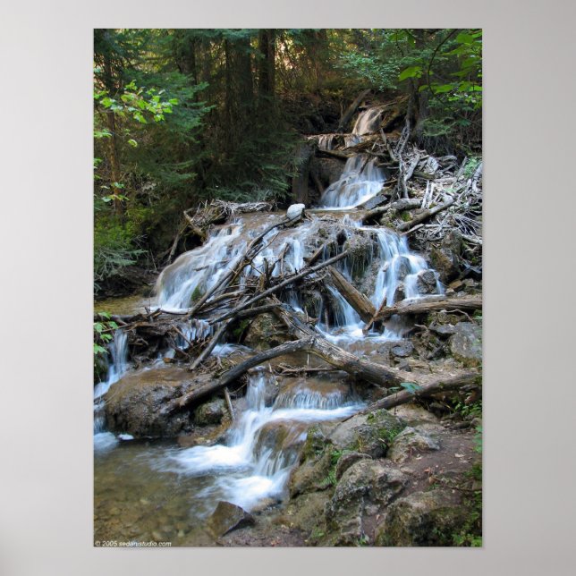 Wilderness Waterfall Poster (Front)