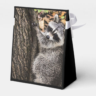 Wilderness Wild Racoon Favour Box