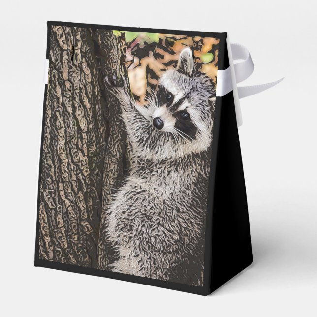 Wilderness Wild Racoon Favour Box (Back Side)