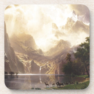 Wilderness & Wildlife Coaster