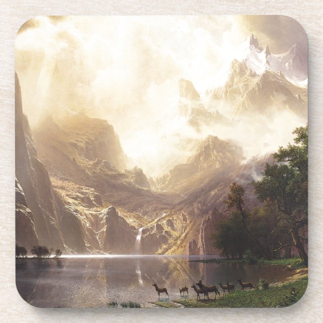 Wilderness & Wildlife Coaster (Front)