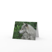 WILDERNESS WOLF Poem on a Note Card