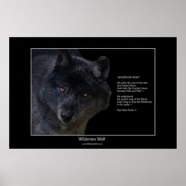 WILDERNESS WOLF Poster w\poem (Front)