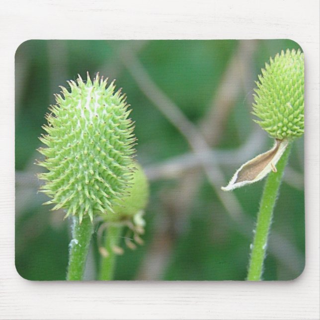 Wildflower 2 mouse pad (Front)