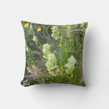 Wildflower Arbutus and Indian Paintbrush 2 sided