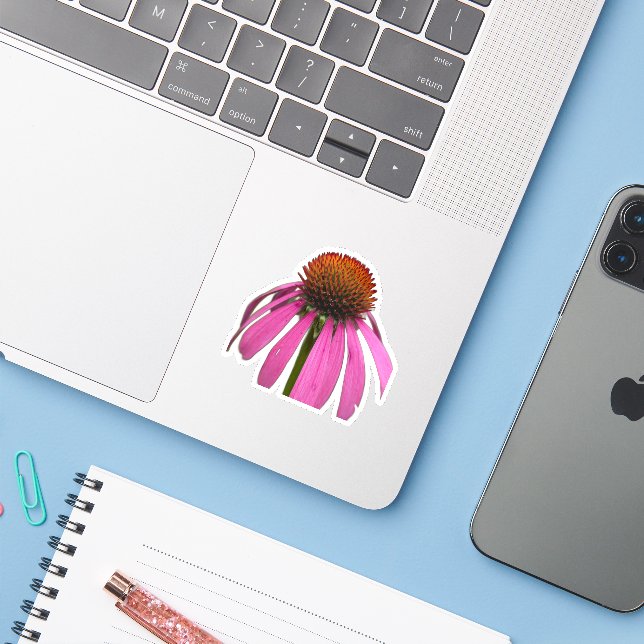 Wildflower Beauty – Nature Photo Sticker (Laptop w/ iPhone)