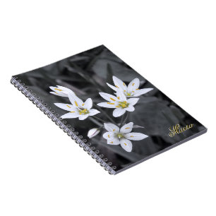 Wildflower Cluster Macro Photo BW/Colour Notebooks