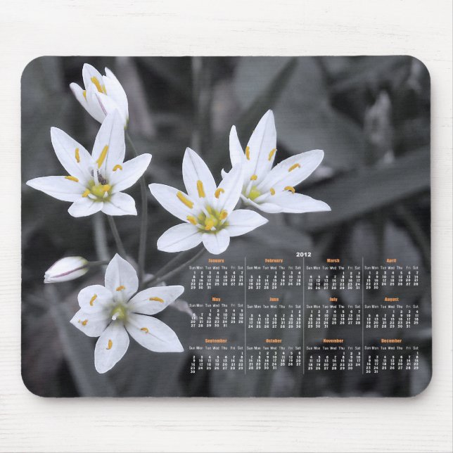 Wildflower Cluster Photography 2012 Calendar Mouse Pad (Front)