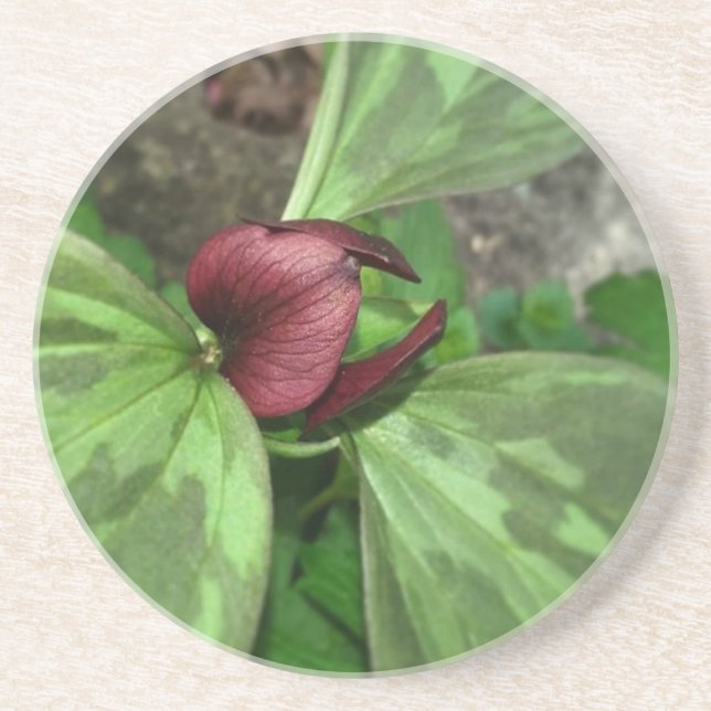 Wildflower Coaster (Front)