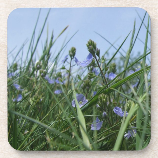 Wildflower Coasters (Front)