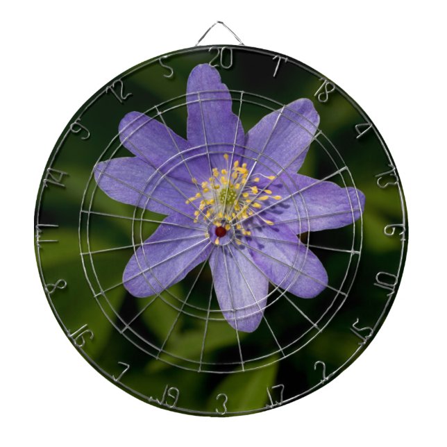 Wildflower Dartboard (Front)