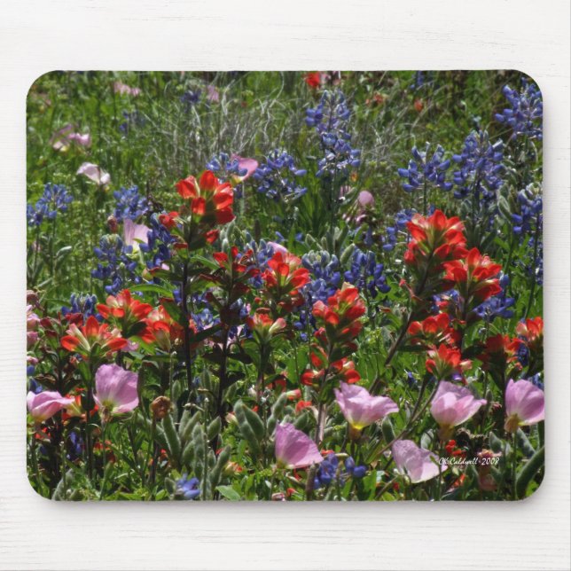 Wildflower Dreams Mouse Pad (Front)