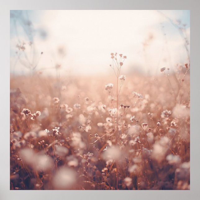 Wildflower Dreamscape  Poster (Front)