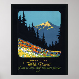 Wildflower earth day environmental deco poster