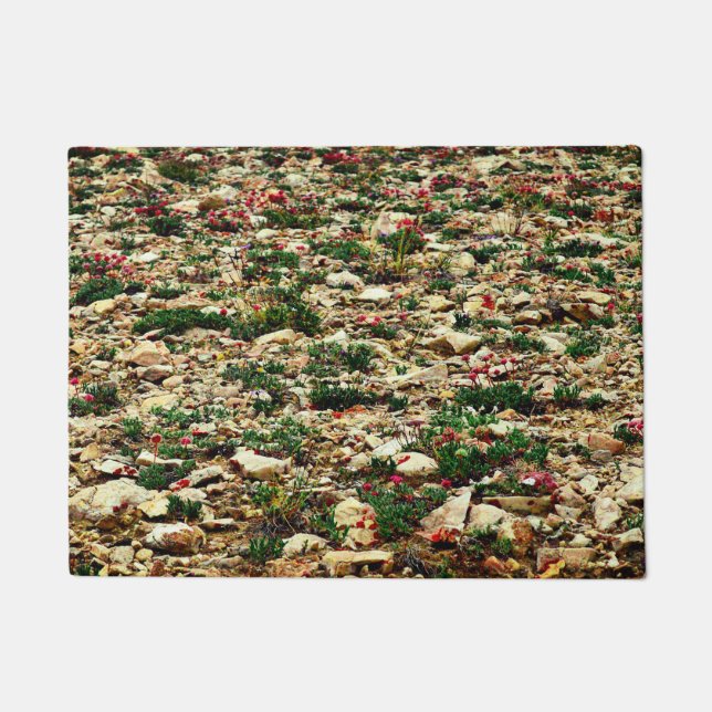 Wildflower Field Doormat (Front)