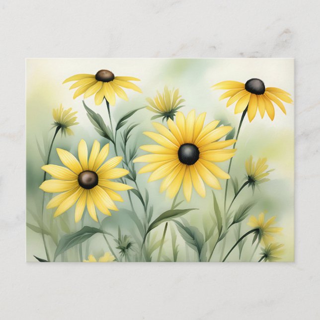 Wildflower Field with Black Eyed Susans Postcard (Front)