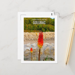 Wildflower Historic Ruins Custom Postcard