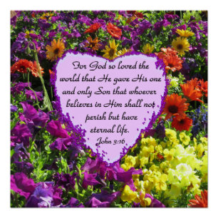 WILDFLOWER JOHN 3:16 PHOTO POSTER