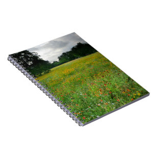 Wildflower Meadow - Butler Trail - Austin Texas Notebook