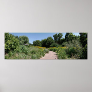 Wildflower Meadow Poster