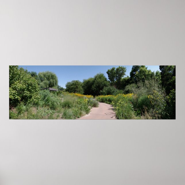 Wildflower Meadow Poster (Front)