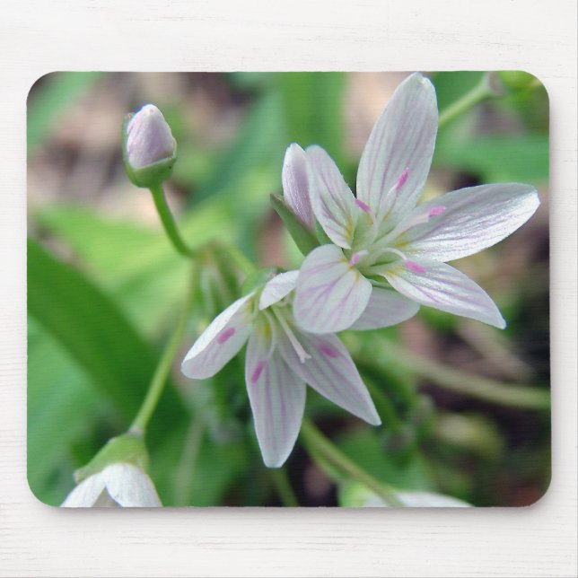 Wildflower Mouse Pad (Front)