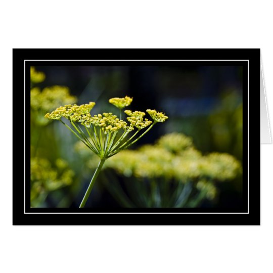 Wildflower Photo Note Card