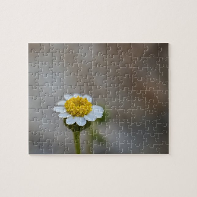 Wildflower Puzzle 5 (Horizontal)