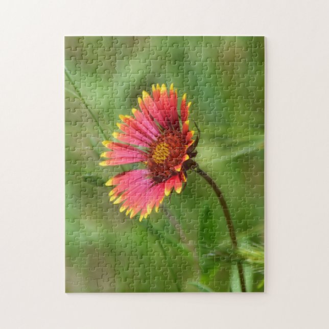 Wildflower Puzzle Indian Blanket Flower Red Flower (Vertical)