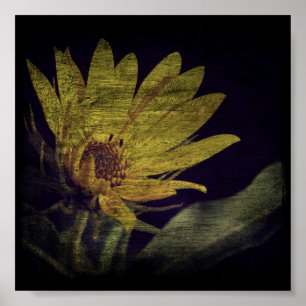 Wildflower Square Poster