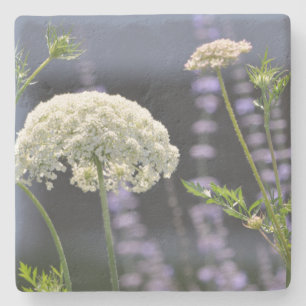 Wildflower Stone Coaster