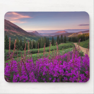Wildflower Sunrise Crested Butte, Colorado Mouse Pad