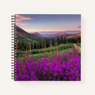 Wildflower Sunrise Crested Butte, Colorado Notebook