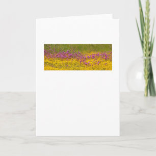Wildflower Superbloom Greeting Card