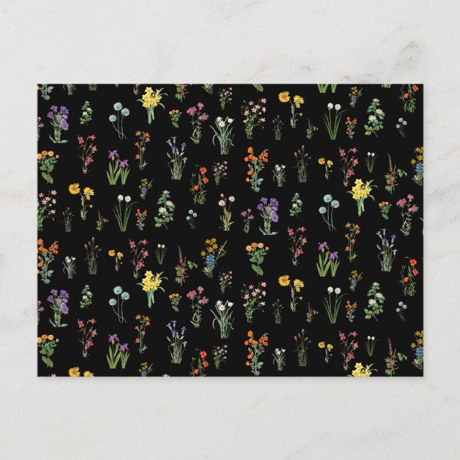 Wildflower Watercolor Black Botanical Floral Holiday Postcard (Front)