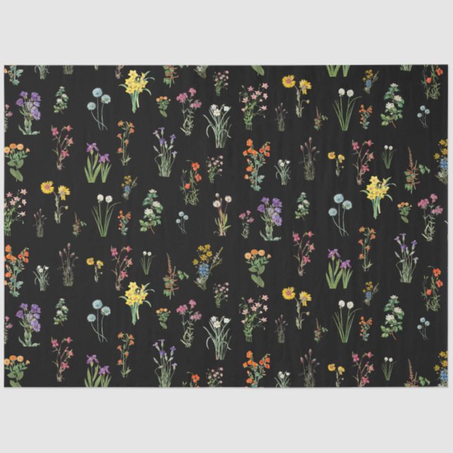 Wildflower Watercolor Black Botanical Floral Tissue Paper (Front)