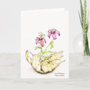 Wildflower watercolor geranium greeting card