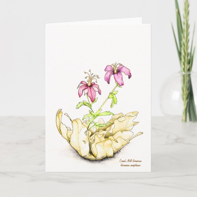 Wildflower watercolor geranium greeting card (Front)