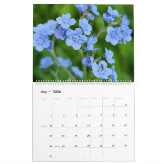 Wildflower Wonders – A Year of Natural Beauty Calendar