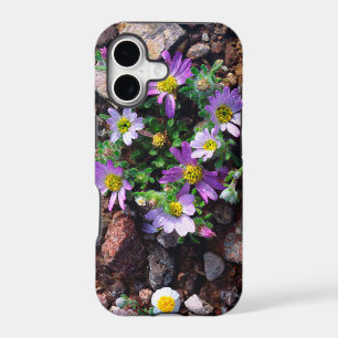 Wildflowers