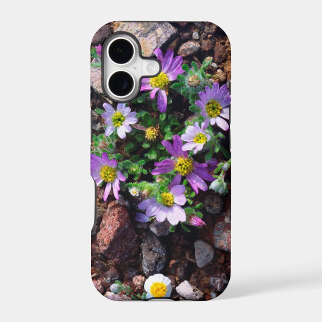 Wildflowers (Back)
