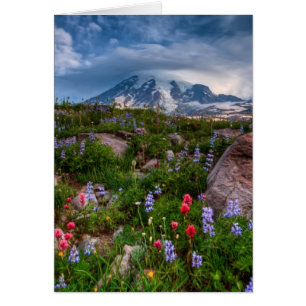 Wildflowers
