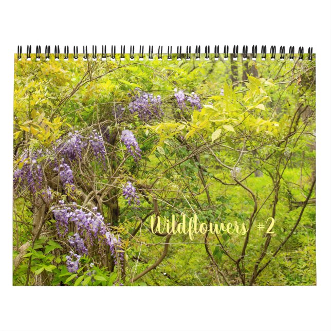 Wildflowers #2 Calendar (Cover)