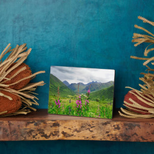 Wildflowers Alaskan Valley Plaque
