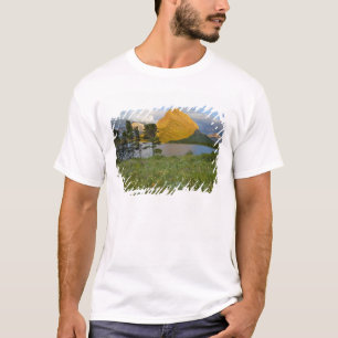 Wildflowers along Swiftcurrent Lake in the Many T-Shirt