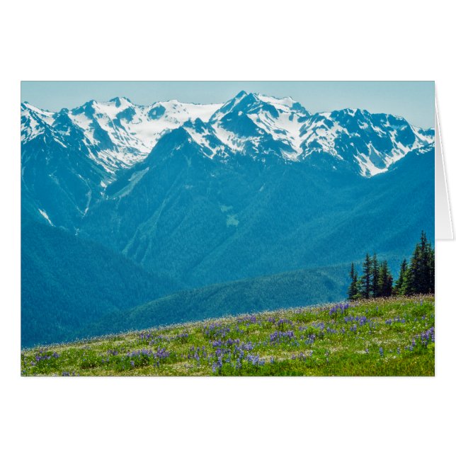 Wildflowers and Mountains (Front Horizontal)