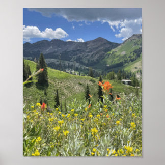 Wildflowers and Mountains of Utah Poster