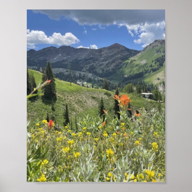 Wildflowers and Mountains of Utah Poster (Front)