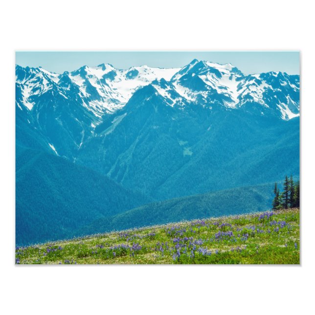 Wildflowers and Mountains Photo Print (Front)
